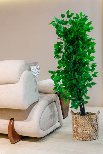 Serenity Sofa5 طقم كنب Serenity - الصورة 6